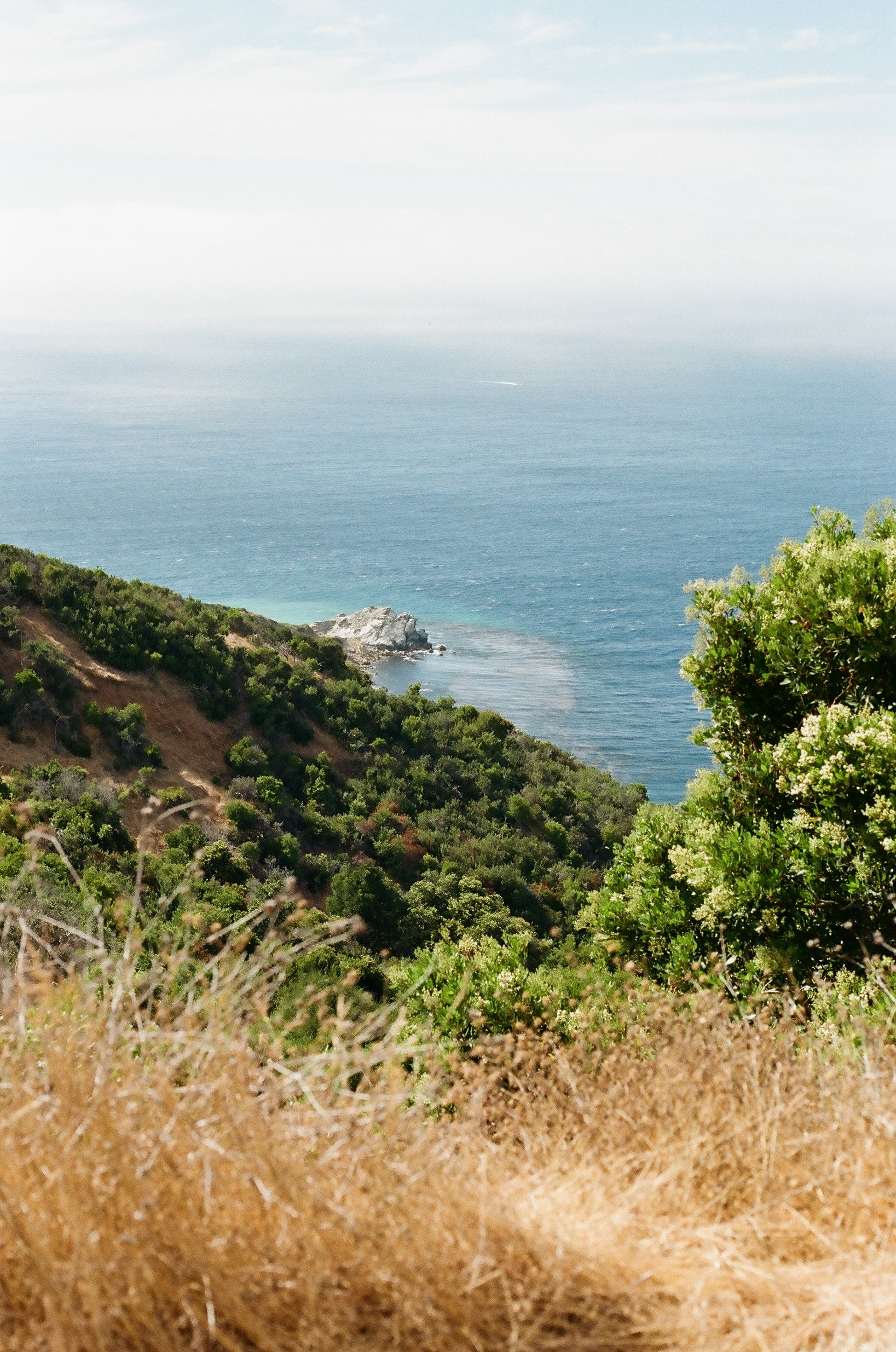 35mm Film