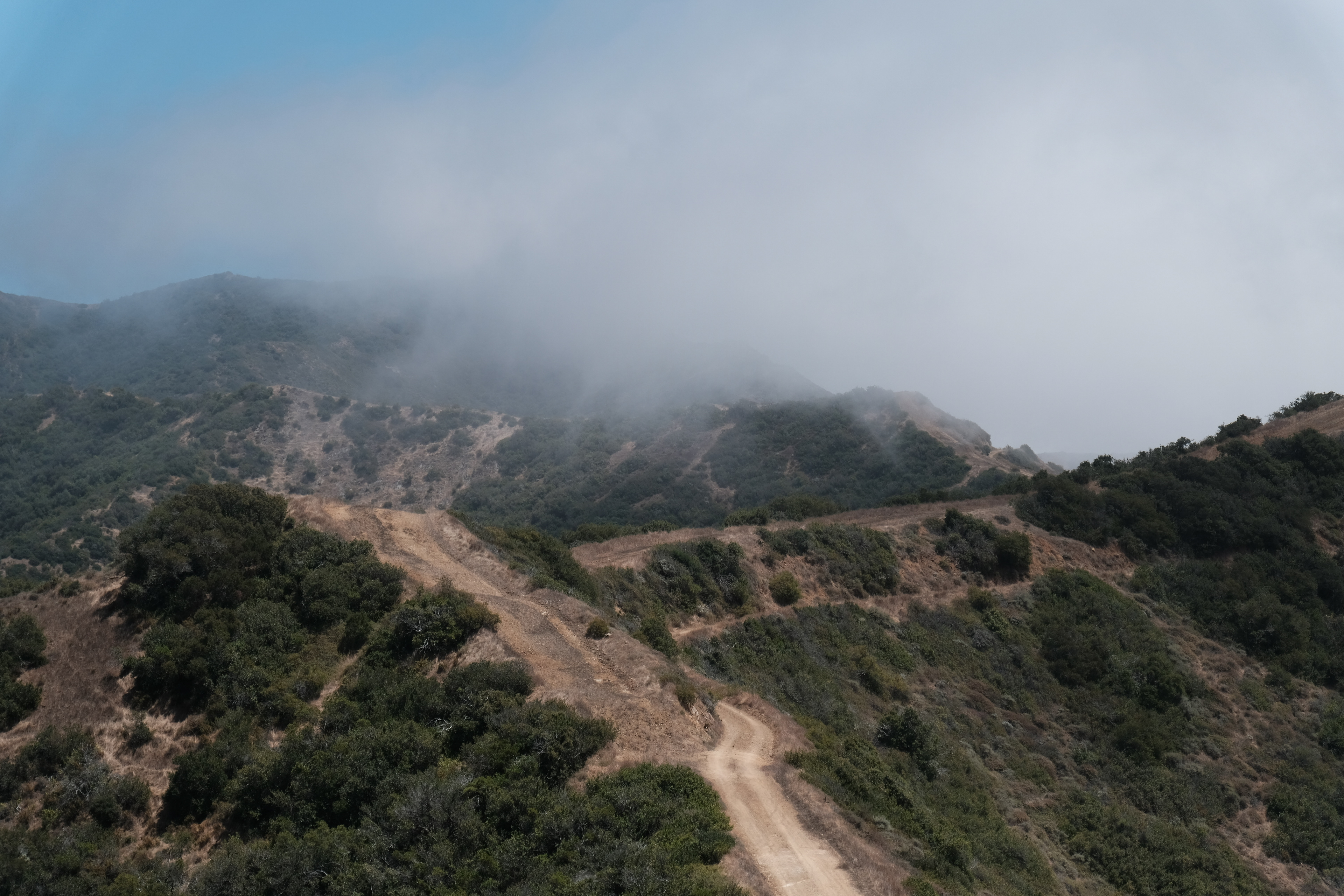 California